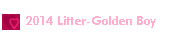 2014 Litter-Golden Boy